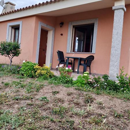 Agriturismo Gli Olivastri, Appartamento La Rosa Dei Venti Con Piscina E Solarium , Vista Mare ,Climatizzatore ,Wifi Aglientu Eksteriør billede