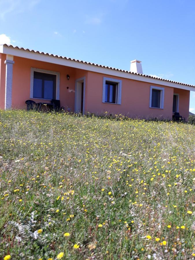 Agriturismo Gli Olivastri, Appartamento La Rosa Dei Venti Con Piscina E Solarium , Vista Mare ,Climatizzatore ,Wifi Aglientu Eksteriør billede