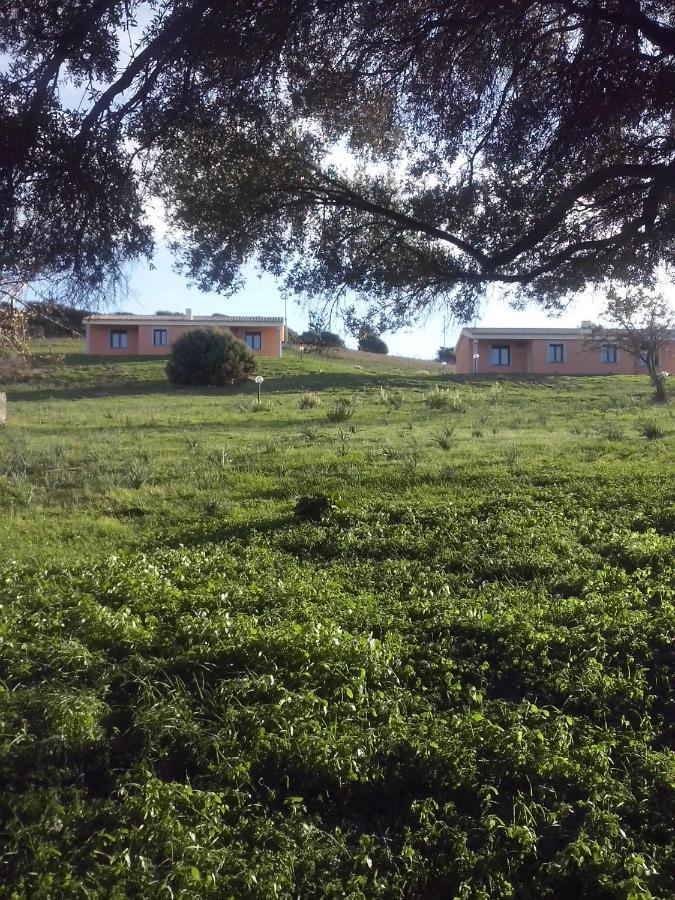 Agriturismo Gli Olivastri, Appartamento La Rosa Dei Venti Con Piscina E Solarium , Vista Mare ,Climatizzatore ,Wifi Aglientu Eksteriør billede