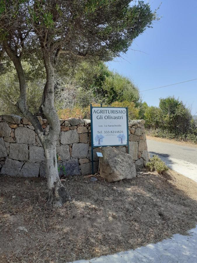 Agriturismo Gli Olivastri, Appartamento La Rosa Dei Venti Con Piscina E Solarium , Vista Mare ,Climatizzatore ,Wifi Aglientu Eksteriør billede