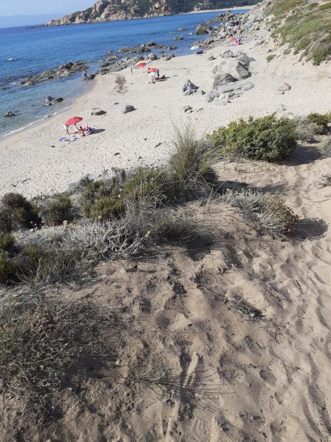 Agriturismo Gli Olivastri, Appartamento La Rosa Dei Venti Con Piscina E Solarium , Vista Mare ,Climatizzatore ,Wifi Aglientu Eksteriør billede