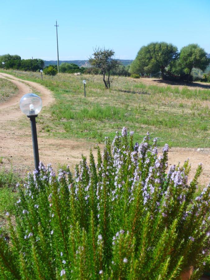 Agriturismo Gli Olivastri, Appartamento La Rosa Dei Venti Con Piscina E Solarium , Vista Mare ,Climatizzatore ,Wifi Aglientu Eksteriør billede