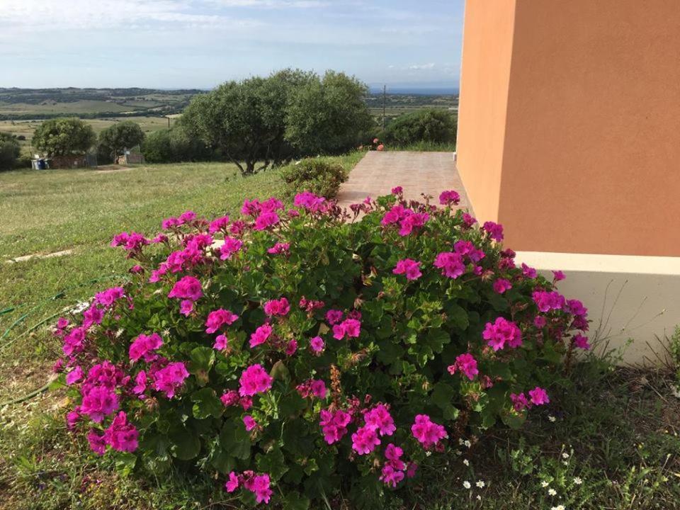 Agriturismo Gli Olivastri, Appartamento La Rosa Dei Venti Con Piscina E Solarium , Vista Mare ,Climatizzatore ,Wifi Aglientu Eksteriør billede