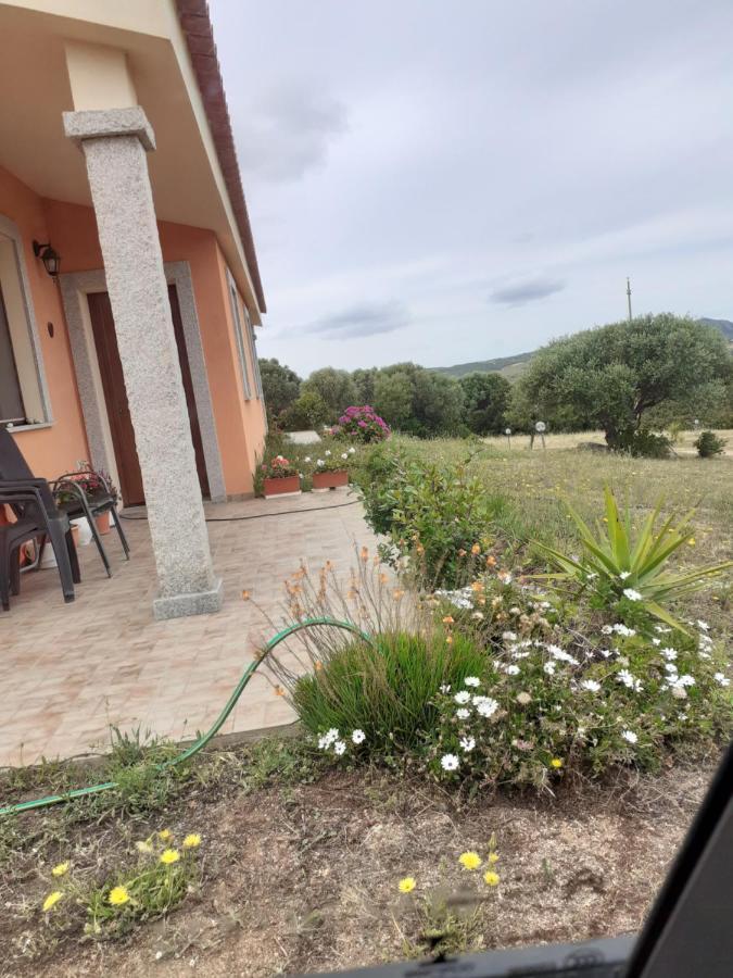 Agriturismo Gli Olivastri, Appartamento La Rosa Dei Venti Con Piscina E Solarium , Vista Mare ,Climatizzatore ,Wifi Aglientu Eksteriør billede