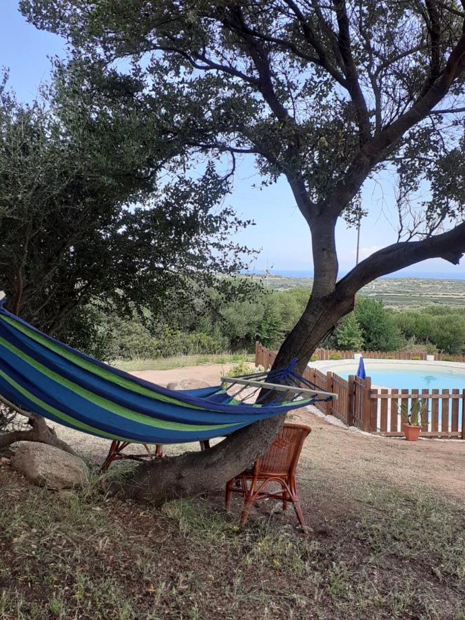 Agriturismo Gli Olivastri, Appartamento La Rosa Dei Venti Con Piscina E Solarium , Vista Mare ,Climatizzatore ,Wifi Aglientu Eksteriør billede